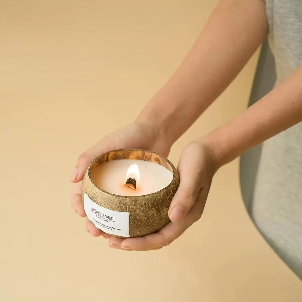 Candela profumata con guscio d - Home Fragrance Accessories recensione e prezzo