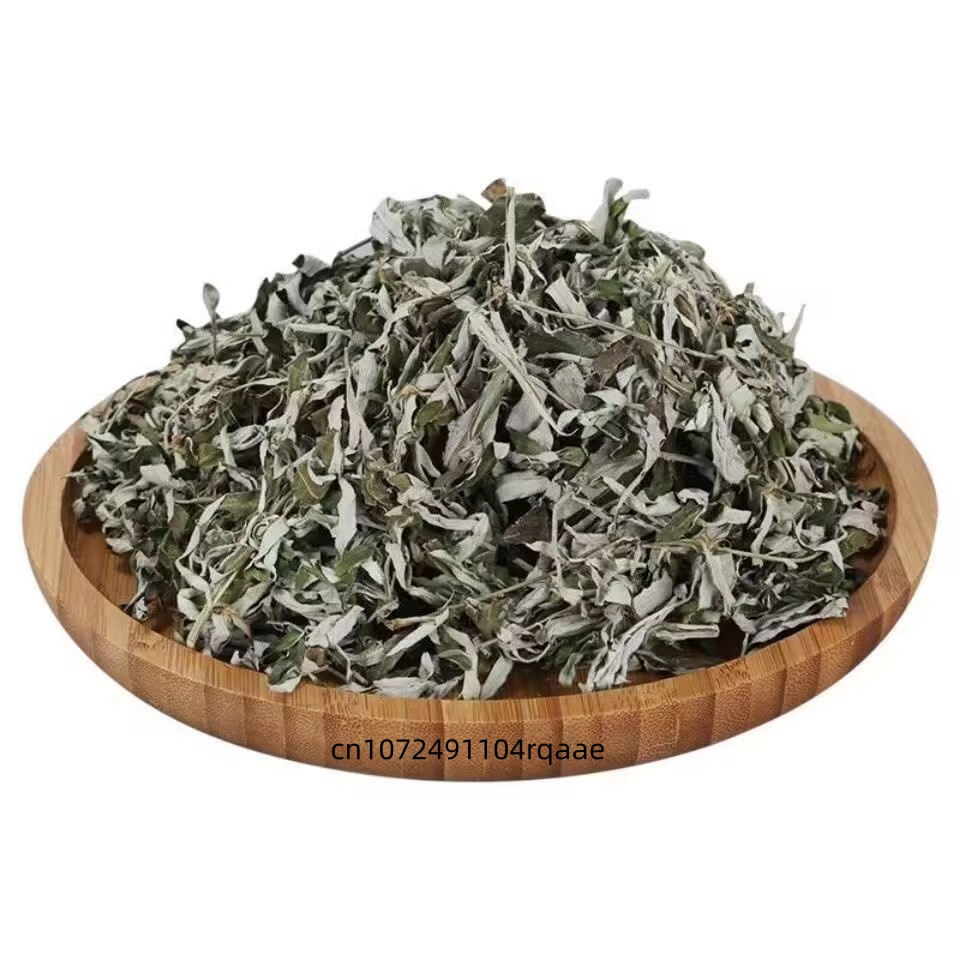 Foglie di Artemisia Argyi Essi - Home Fragrance Premium recensione e prezzo